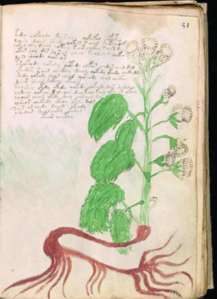 telegraph إحدى صفحات المخطوطة