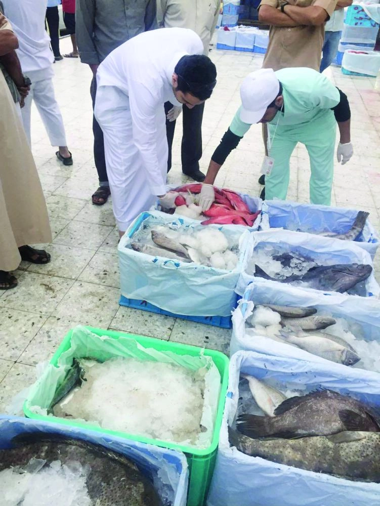 






أسماك وبعض المواد الاستهلاكية تخضع للفحص