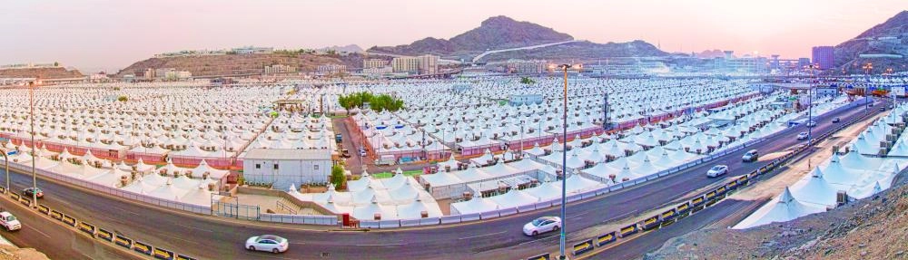 (رصد وتصوير: أنس الحارثي)