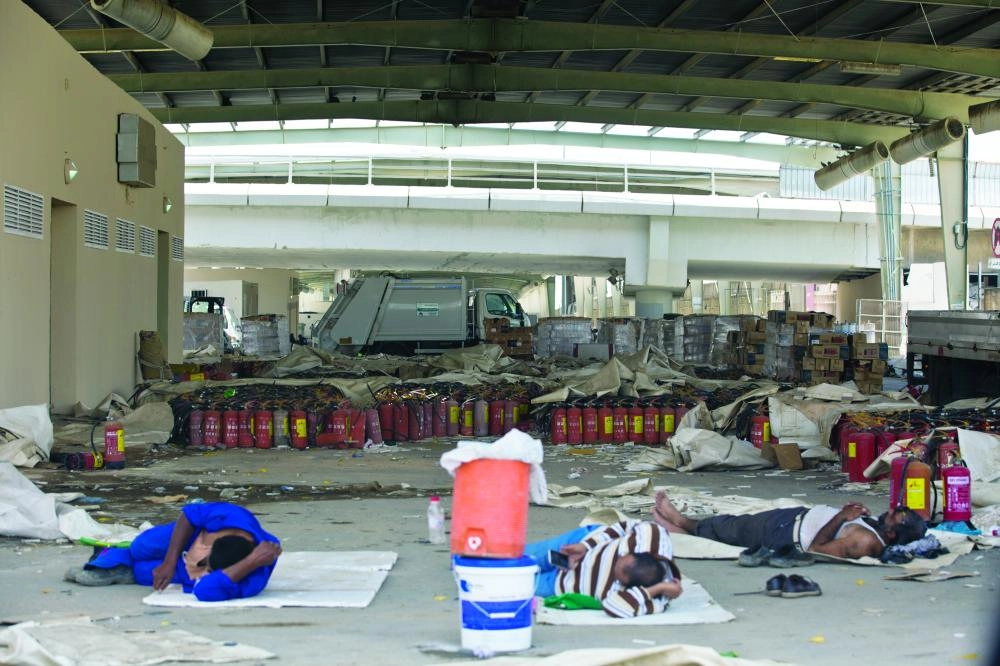 (رصد وتصوير: أنس الحارثي)