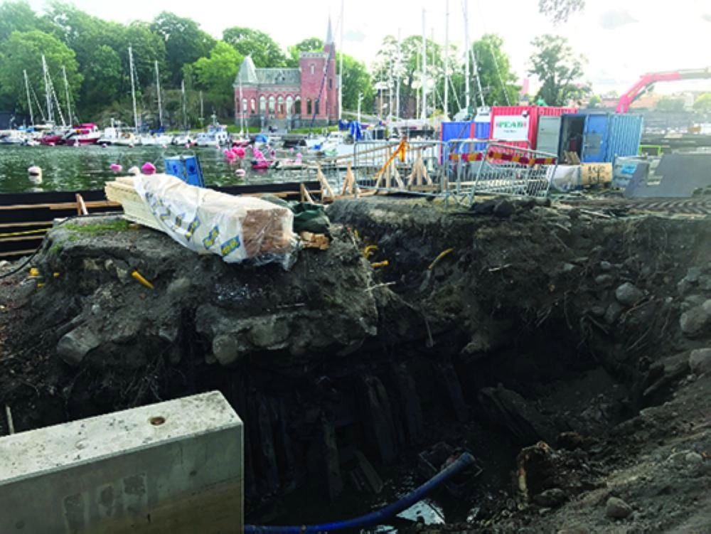 جانب من الحطام المكتشف (The Local)