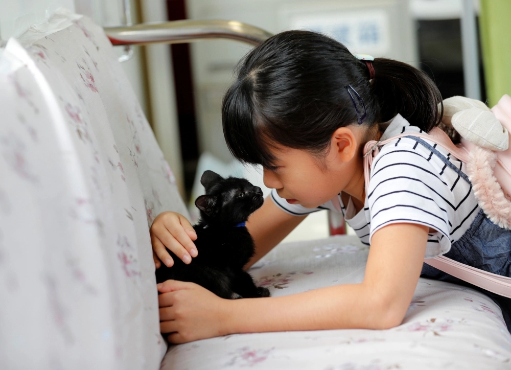 قطة في القطار (رويترز)