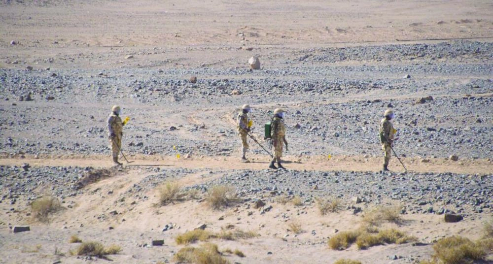 من النماذج المطبقة في كاسح1                                                      (واس)