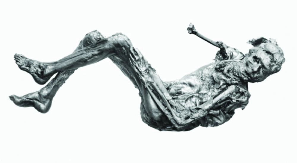 



مومياوات عثر عليها              (All That Is Interesting)