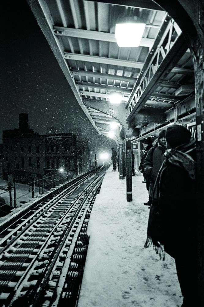 إحدى الصور (MY MODERN MET)