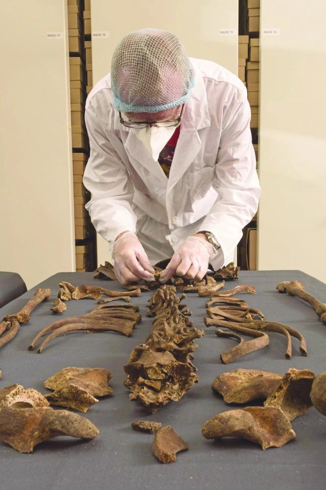 






فحص للهياكل العظمية المستخرجة                 (MOLA)