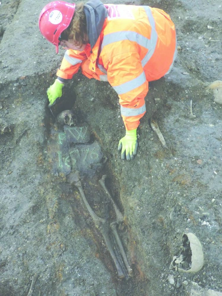 جانب من الحفريات (MOLA)