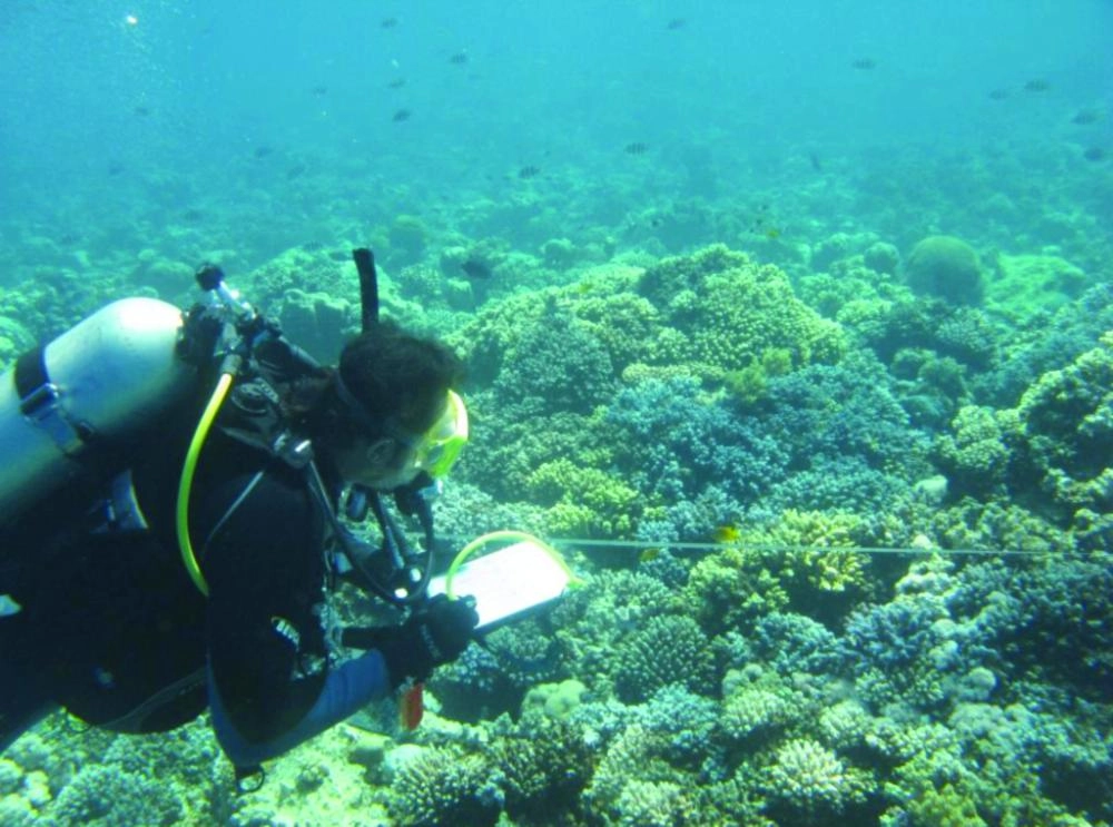 






غواص يسجل ملاحظاته