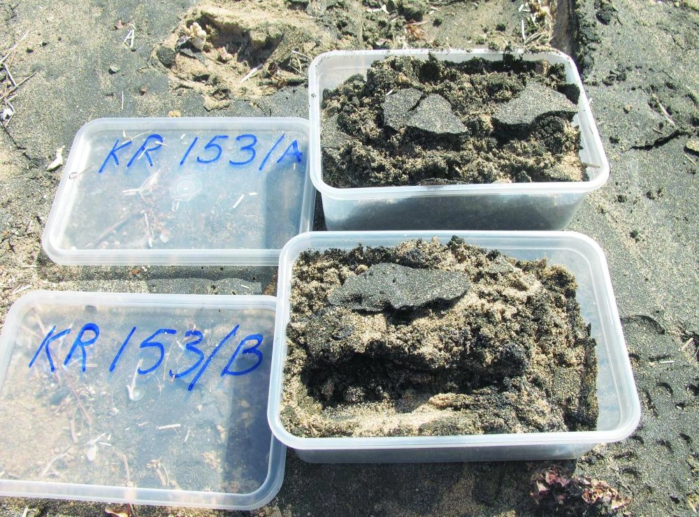 






عينة من الرمال                           (واس)