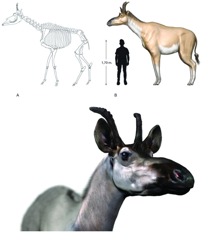 Screen Shot 2017-11-12 at 4.07.01 PM