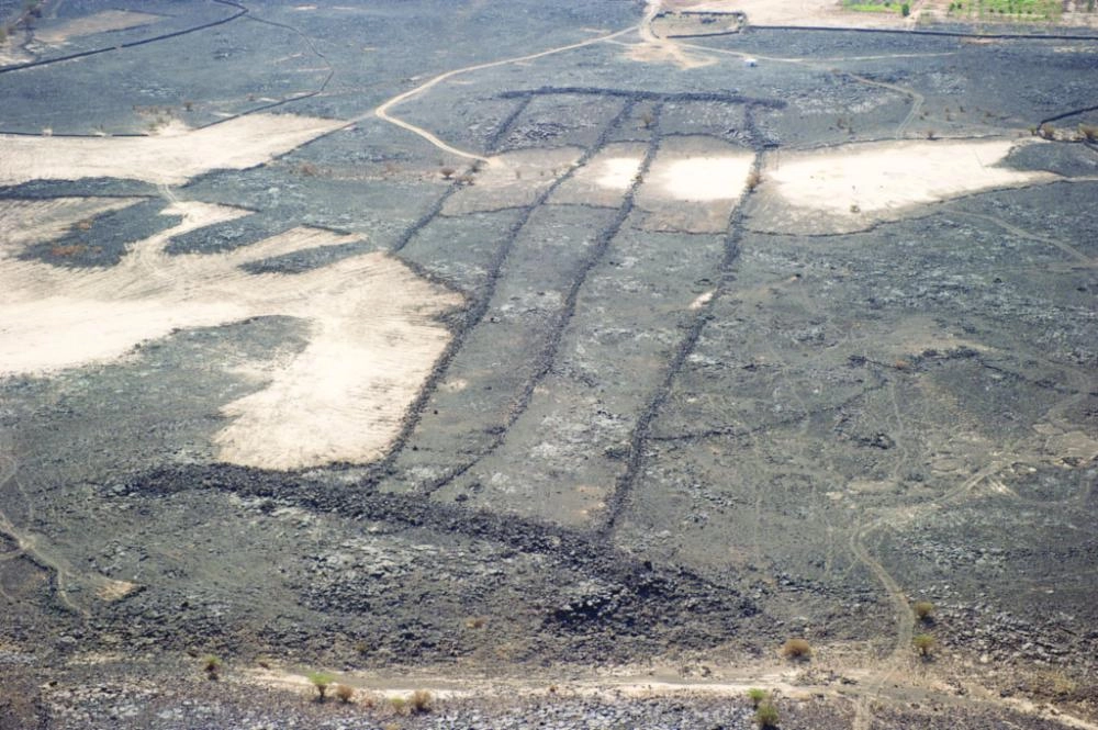 






بوابة بطول 1200 قدم                                                 (NYTimes)