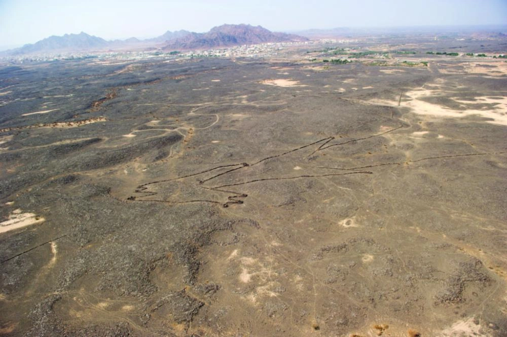 هيكل يشبه الطائرة الورقية (NYTimes)