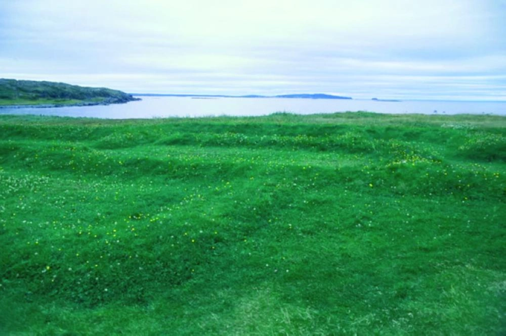 لانس أو ميدوز