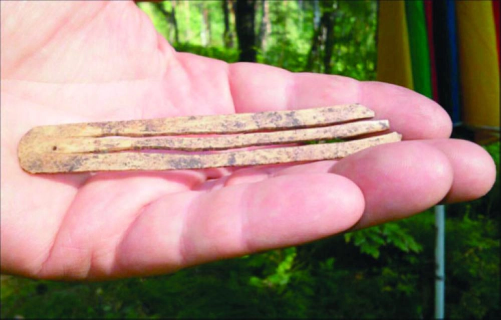 






أدوات استخدمت بالقيثارة          (Siberian Times)