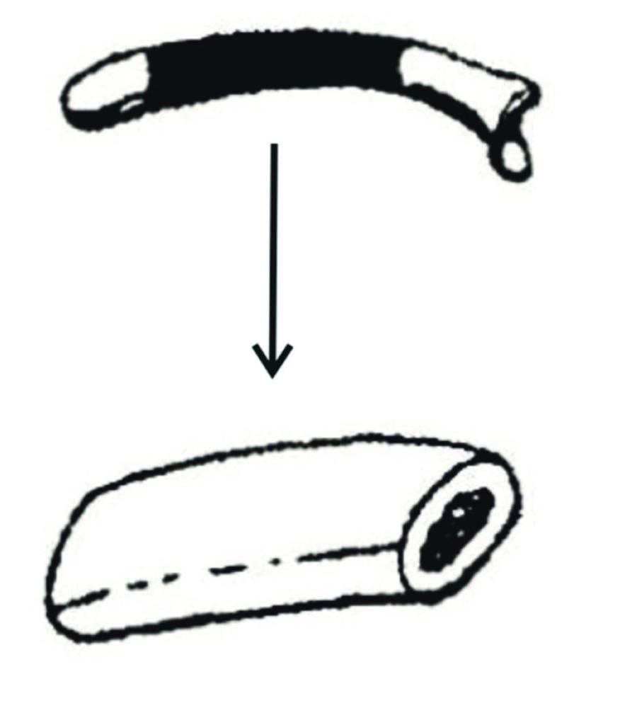 القيثارة (Siberian Times)