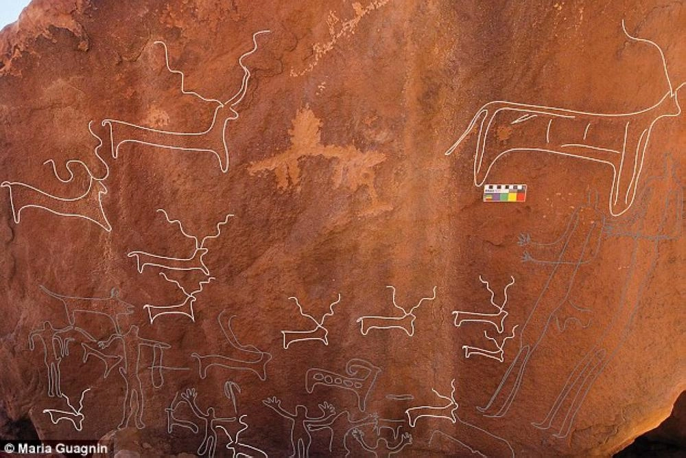 حيوانات نادرة تظهر في النقش الحجري (الديلي ميل البريطانية)