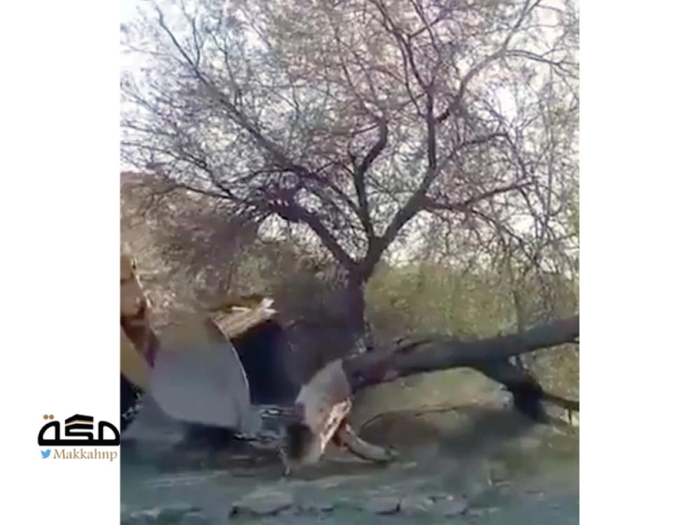 المقطع المتداول لإزالة الشجرة