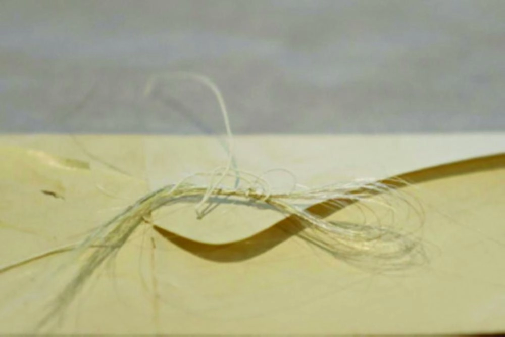 






شعر جورج واشنطن              (نيويورك بوست)