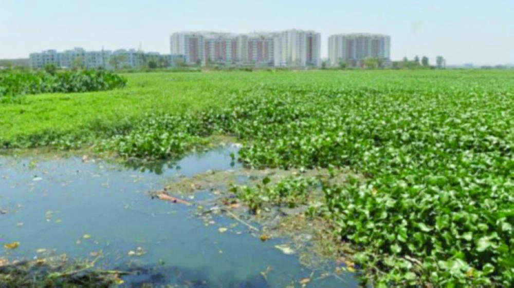 بنجالور الهندية