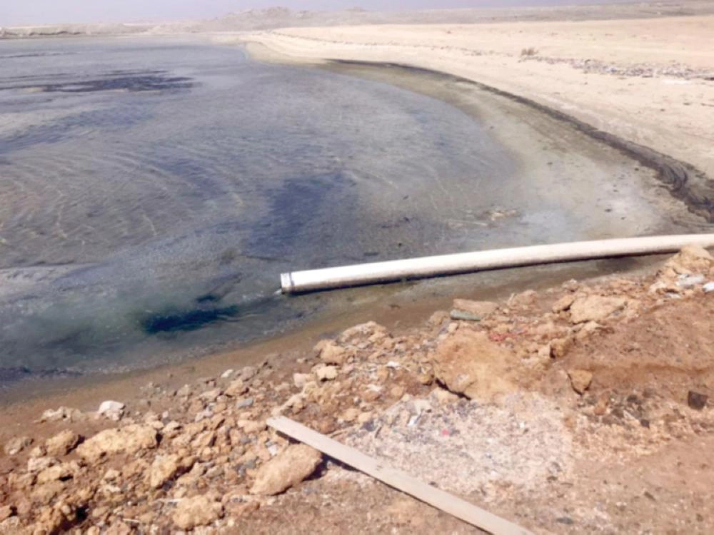 من عملية المسح البيئي                                                             (واس)