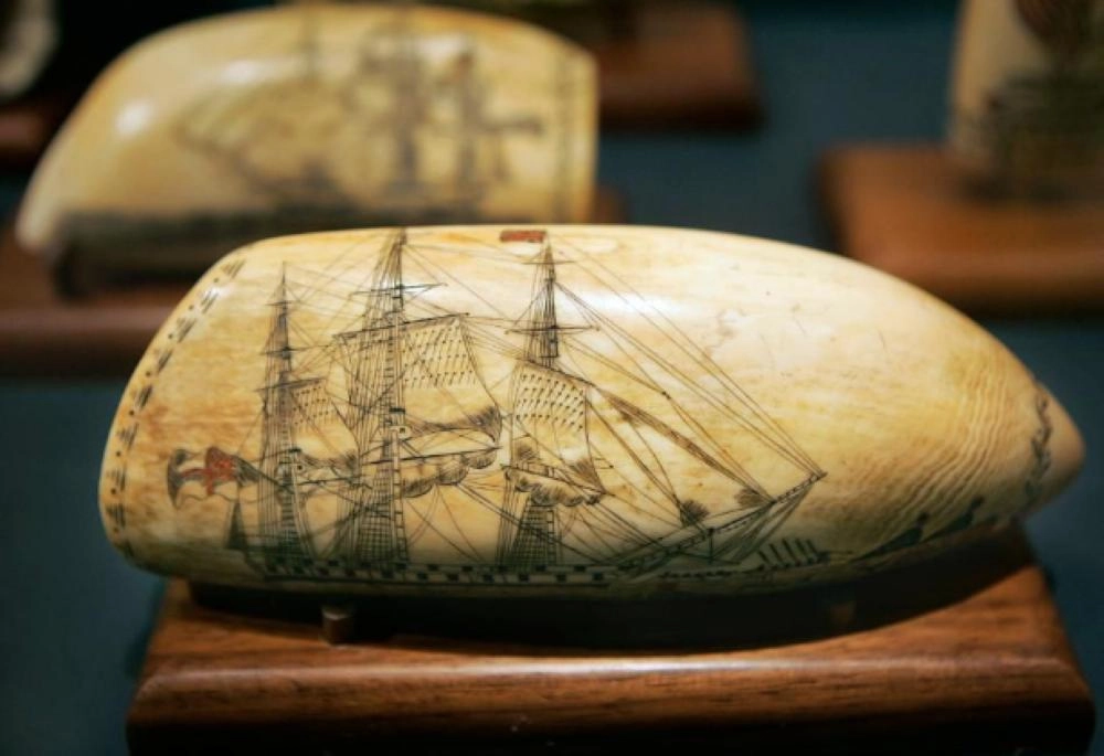 نحت على سن الحوت يعود إلى عام 1820