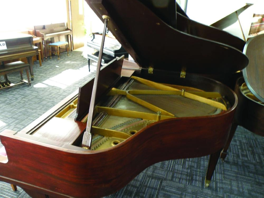 صناعة بطن البيانو