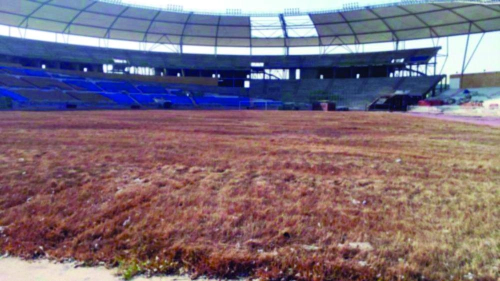 139332861C8188305-CD60-4F90-AC08-5AC727505804