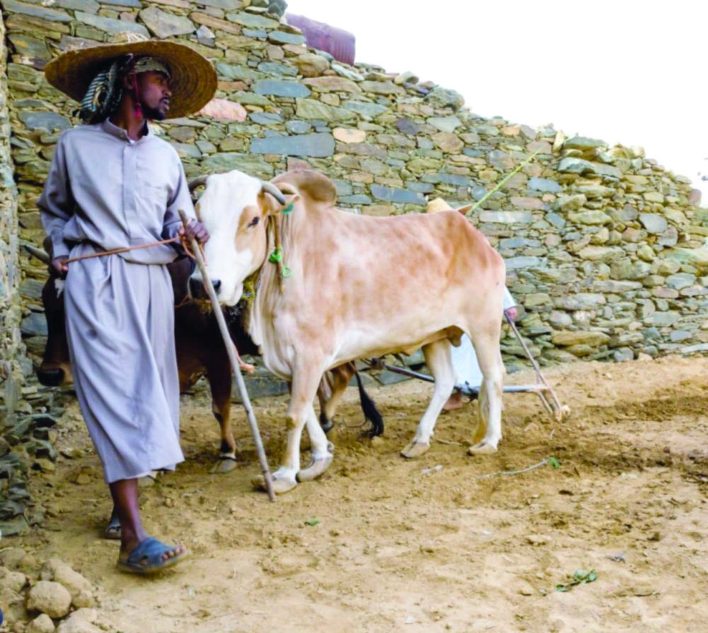 من سوق الأطاولة القديم (واس)