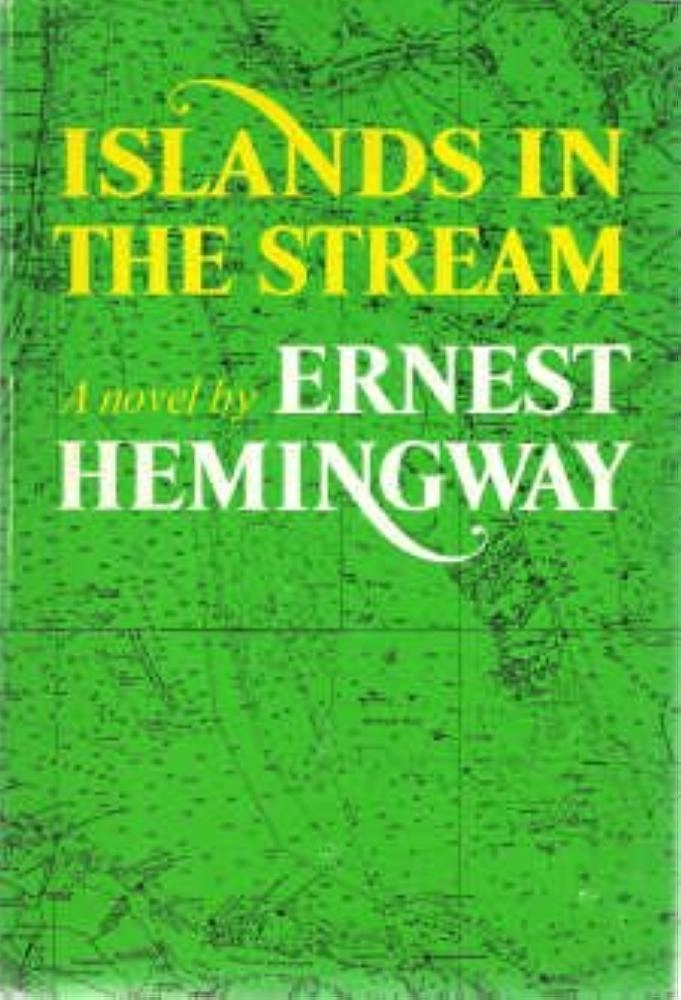 

جزر في المجرى