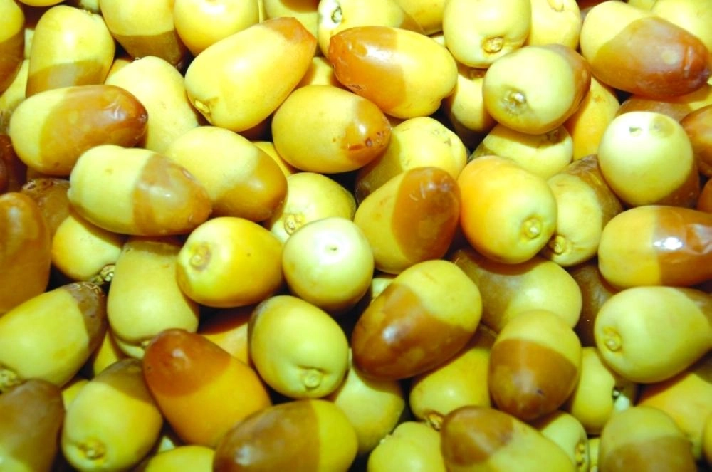 






الخلاص رطبا