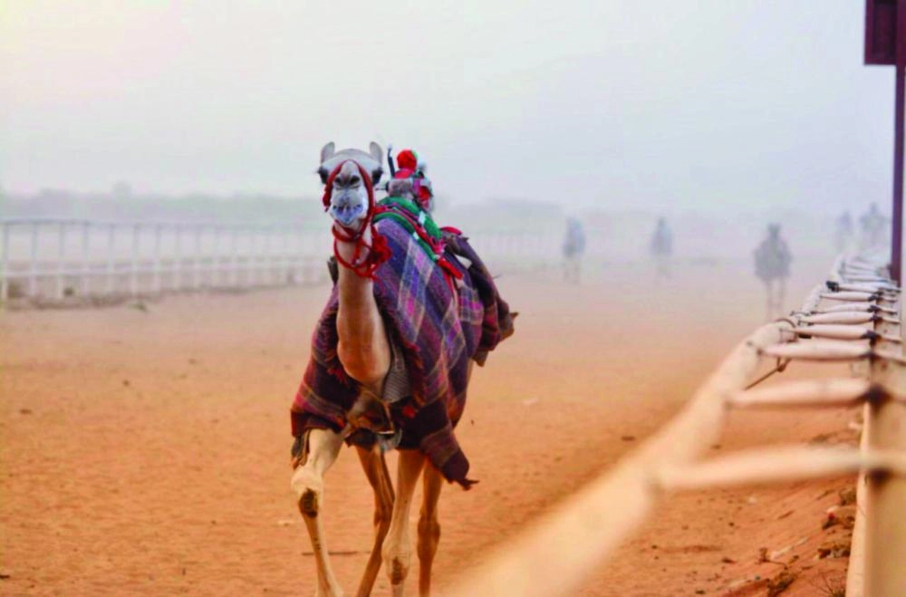 DST_4205207_Fri14_1111241791