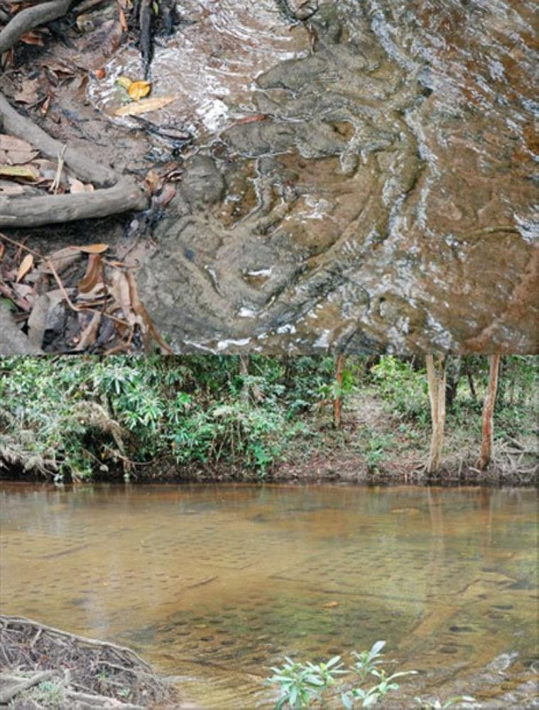 






كهوف                     (Ancient Origins)