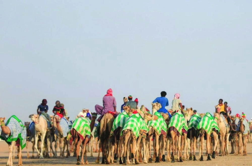 






من سباقات المهرجان أمس                                                                                                                        (واس)