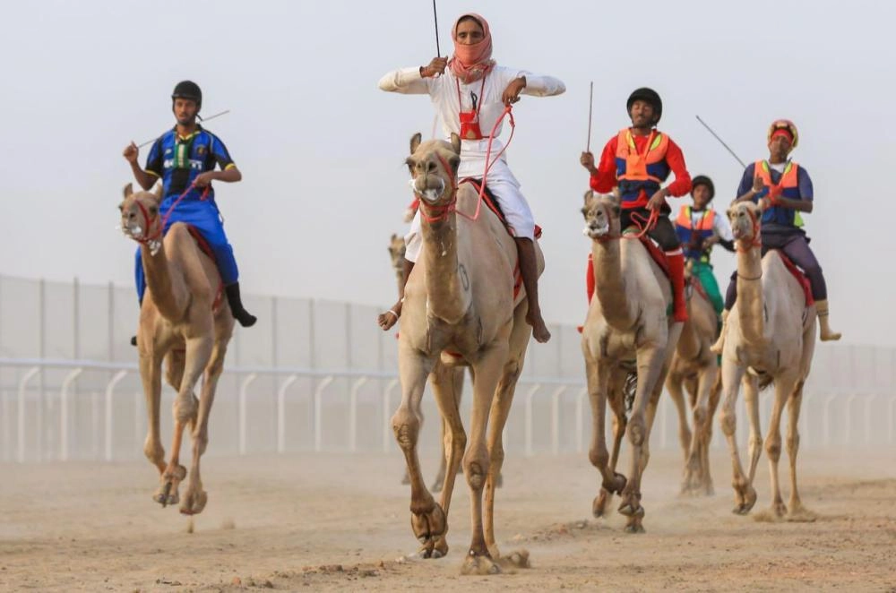 من منافسات ماراثون الهجن (واس) 