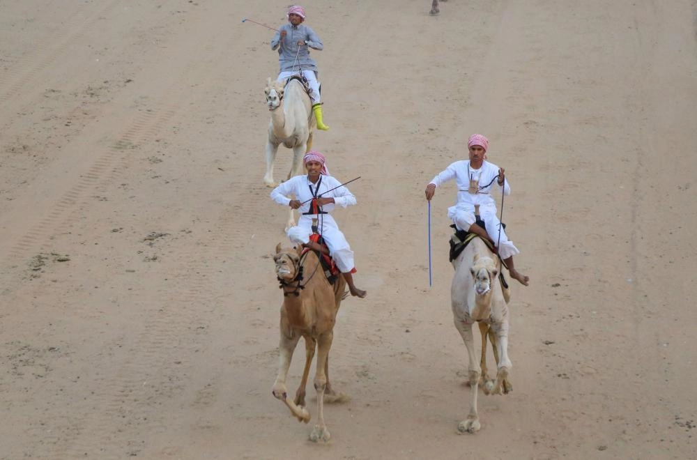 من منافسات ماراثون الهجن (واس) 