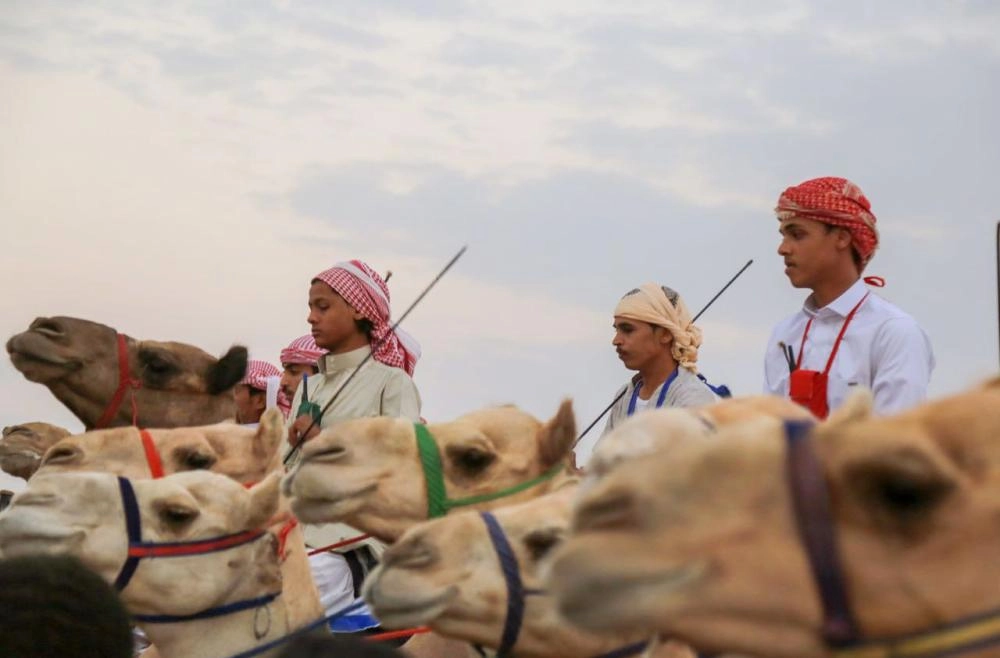 من منافسات ماراثون الهجن (واس) 