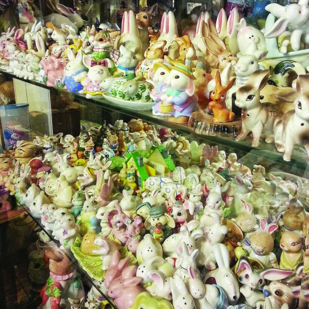 متحف الأرنب