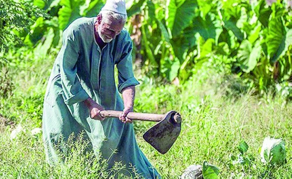 فلاح مصري (مكة)