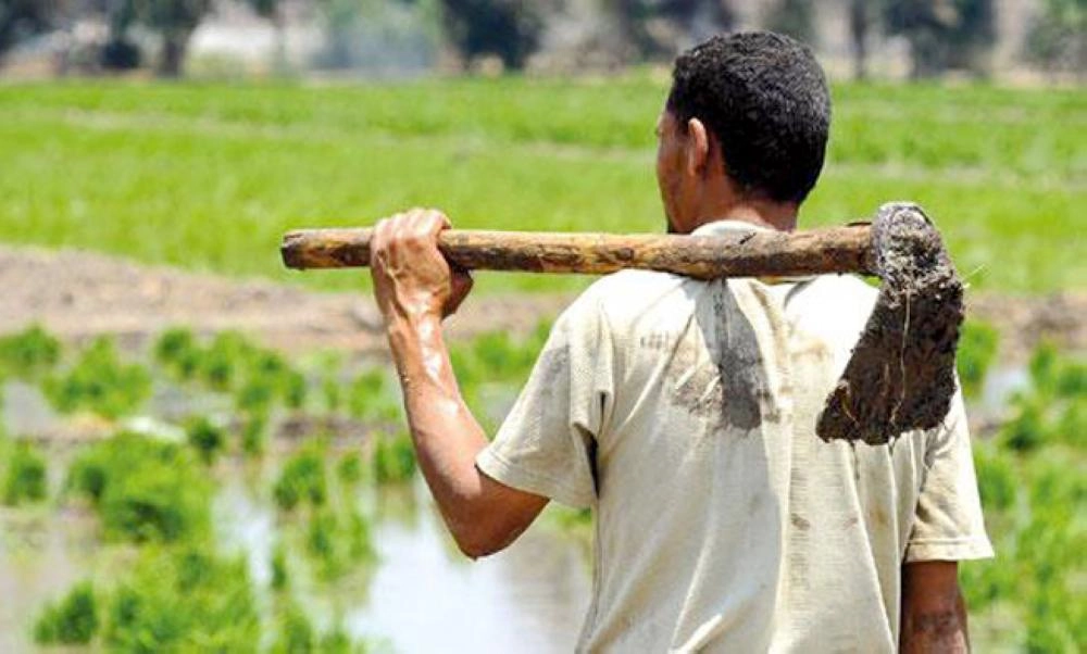 



فلاحان مصريان                                                            (مكة)