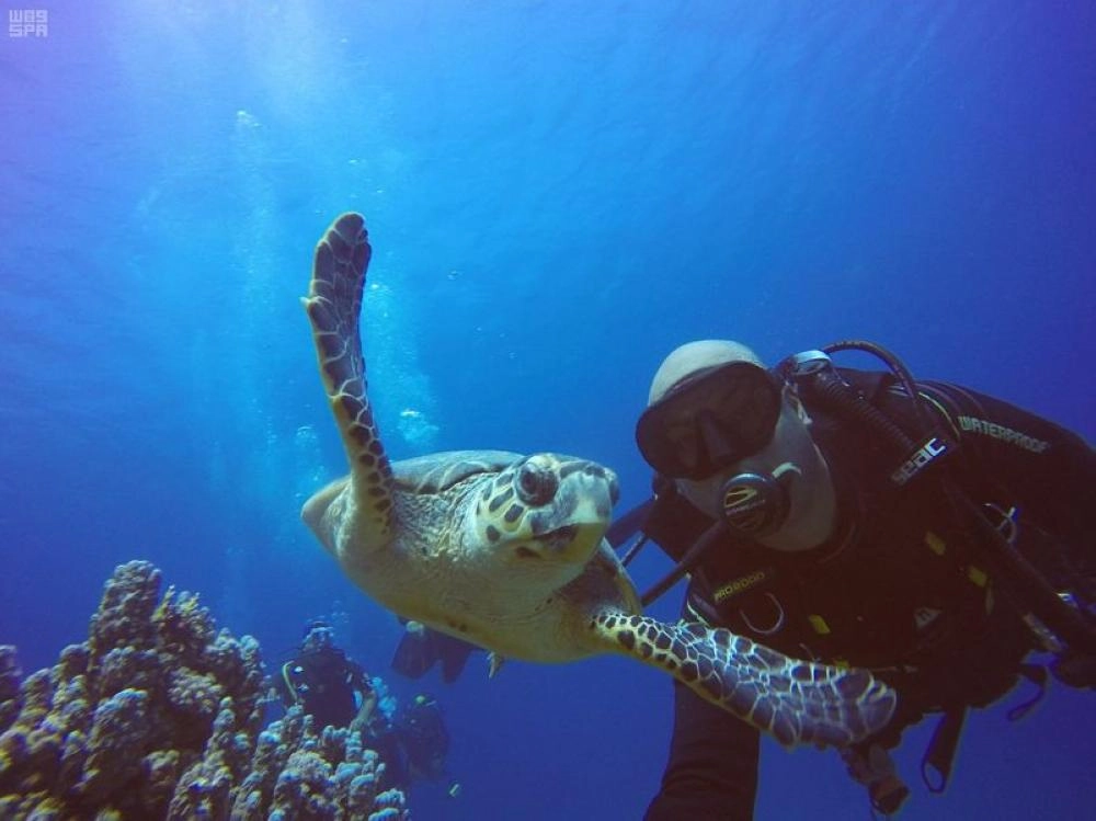 من مشروع البحر الأحمر (مكة) 