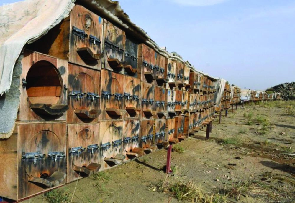 






مناحل في منطقة عسير                                                                                                            (واس)