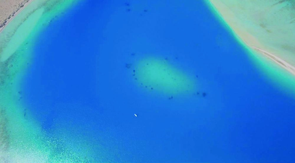 DST_4416135_Wed135_1125659726