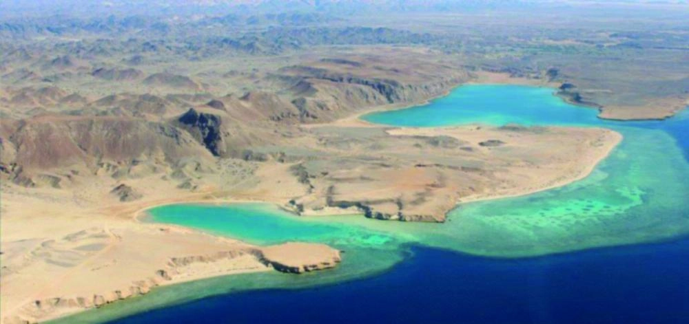 DST_4416131_Wed133_1125527209