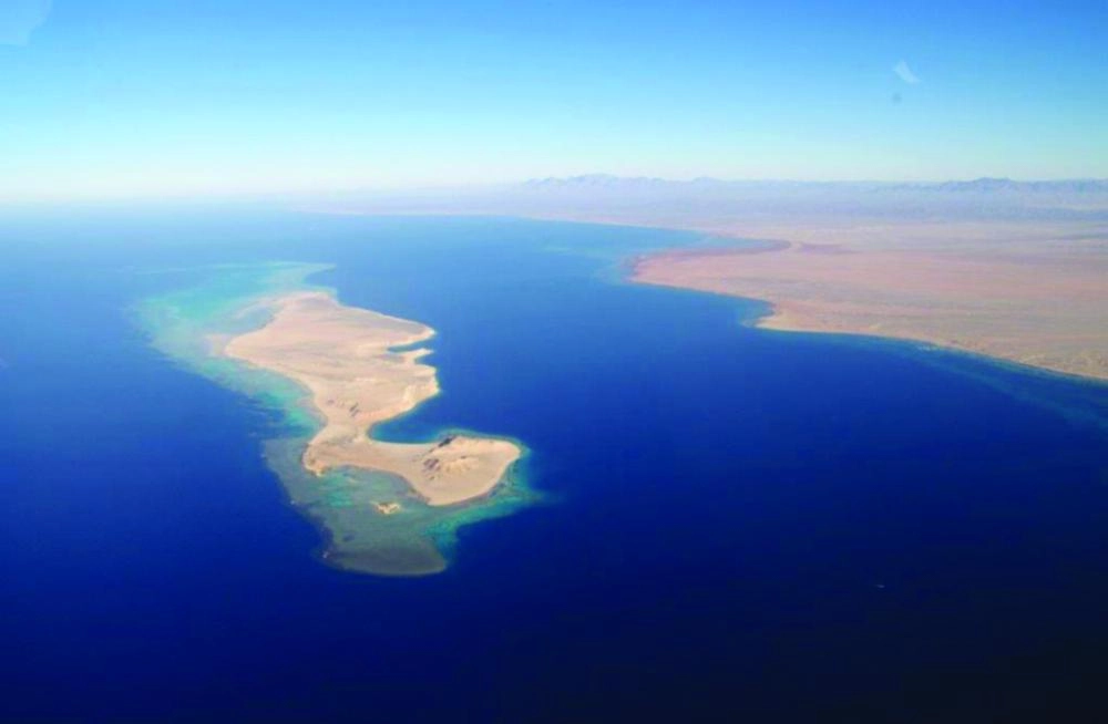 DST_4416127_Wed131_1125283668