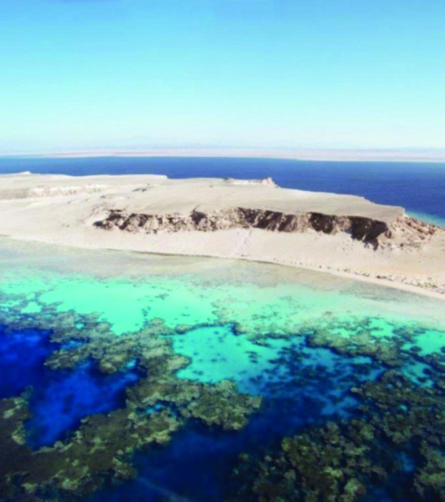 






مشروع أمالا سيكون وجهة سياحية فائقة الفخامة على ساحل البحر الأحمر