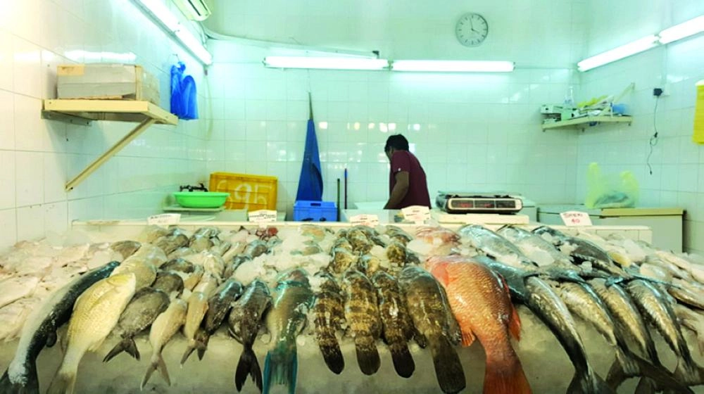 






سوق الدمام للأسماك أمس حيث شهدت الأسعار ارتفاعا بما يزيد على 30%                  (مكة)