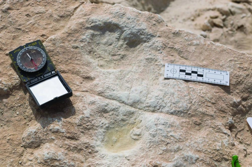 من الاكتشافات الأثرية (واس)