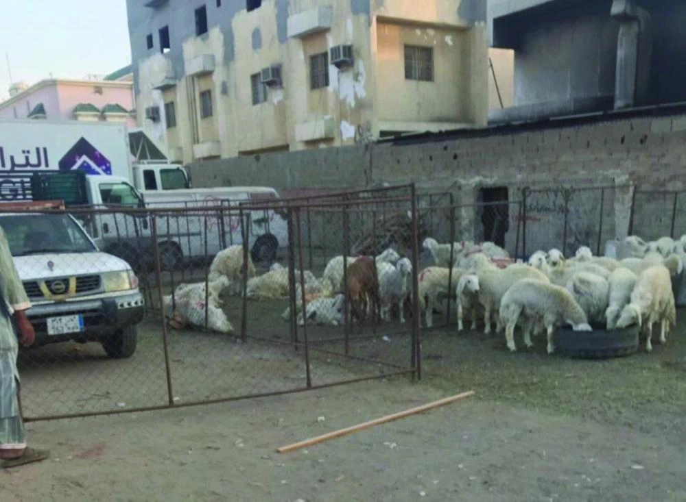 حضائر الاغنام داخل الاحياء واحد.من اهم مظاهر التلوث البصري 