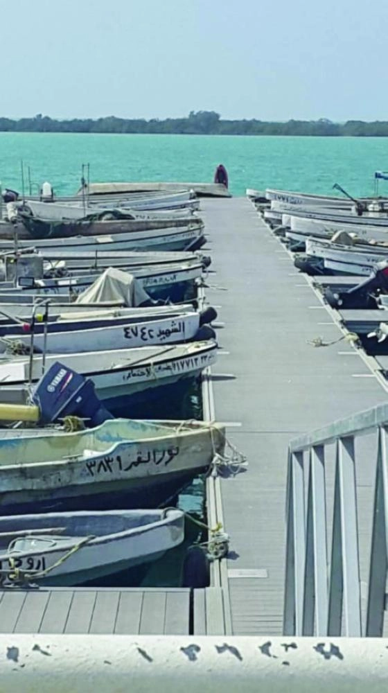 






قوارب متوقفة  تنتظر الصياد المرافق                                              (مكة)