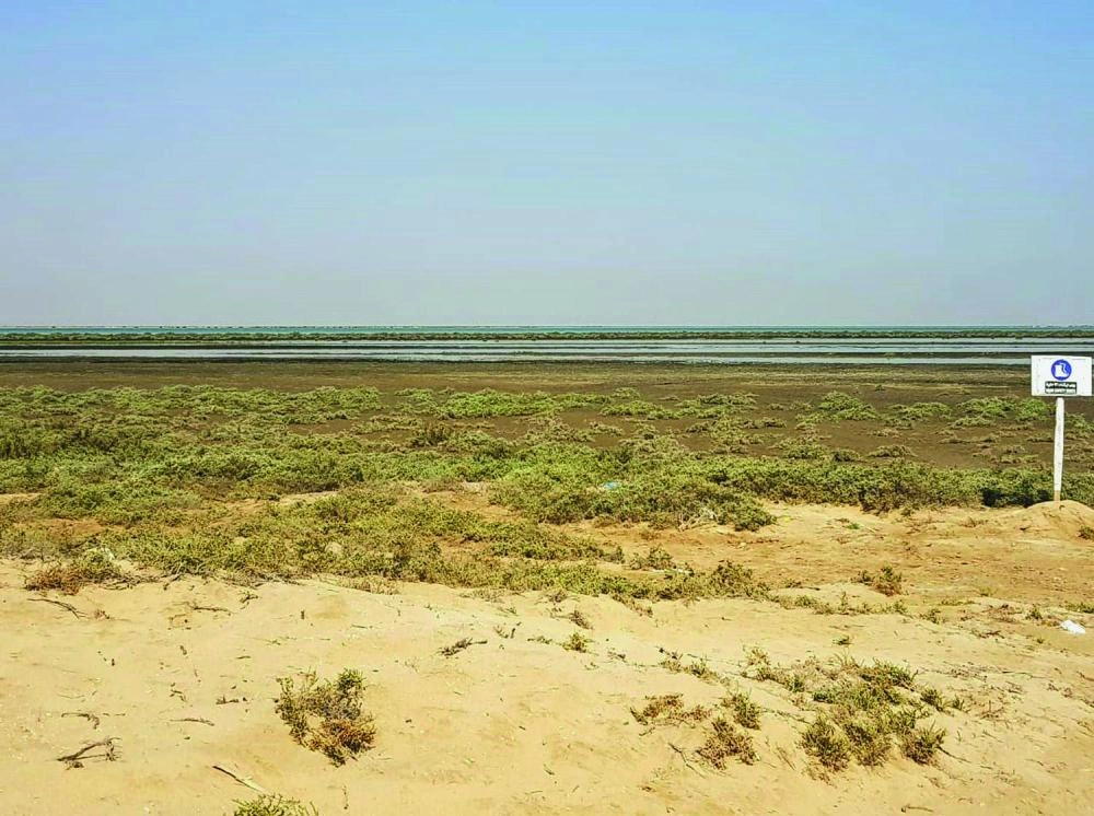 






أحد مشاريع معالجة موارد البيئة الساحلية                                             (مكة)